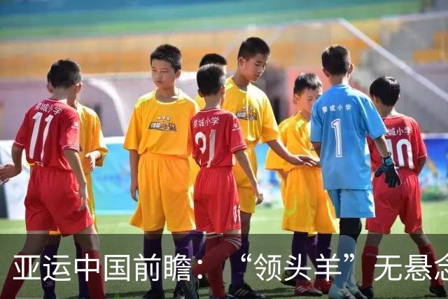 亚运中国前瞻：“领头羊”无悬念 “含金量”见真章