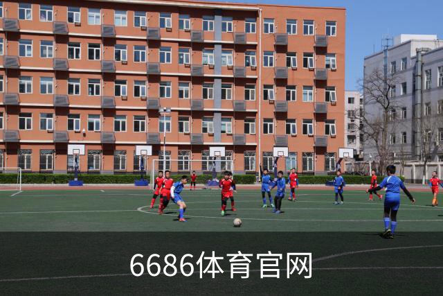 关于6686体育官网